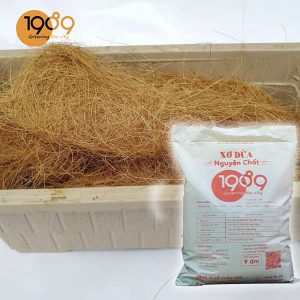 Xơ Dừa Đã Xử Lý Chát