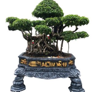 Chậu chữ nhật 1200x800x550