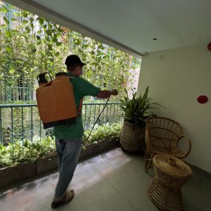 bảo dưỡng cây xanh khách sạn