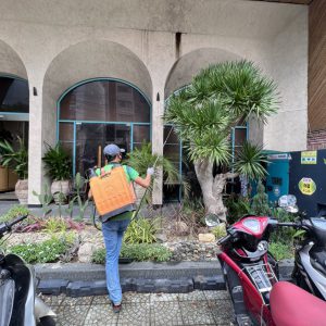 bảo dưỡng cây xanh khách sạn