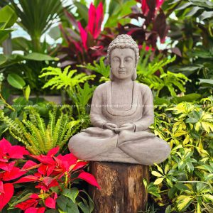 bảo dưỡng cây xanh khách sạn