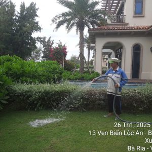 dịch vụ chăm sóc cây xanh resort